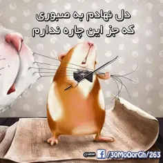 البته خیلییییی دل ب نشاط دل نهادم ب صبووووری!:)))