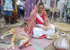 ازدواج جنجالی دختر هندی 18 ساله با سگ ولگرد