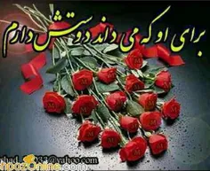 بی قرارم!!، نه قراری که قرارم بشوی!!!