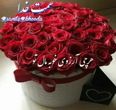 🌹 زیباترین گلها را🌹 