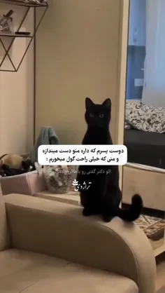 رو گربهه کراش زدم😅🤣🤣🤦🏻‍♀️