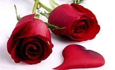 عکس گل رز و قلب زیبا کپی به شرط فالو💜