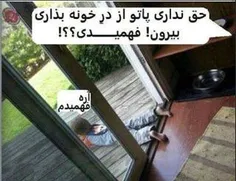 خخخ..