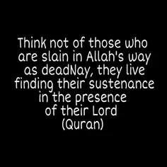 وَلَا تَحْسَبَنَّ الَّذِینَ قُتِلُوا فِی سَبِیلِ اللَّهِ 