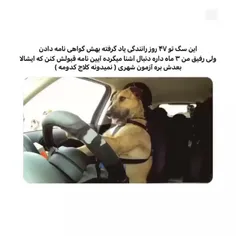 هعی🤣🤣🤣🤣🤣🤣🤣🤣🤣