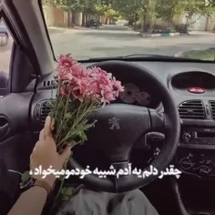 کسی که وقتی دل دادم بهش 
