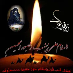 امام حسین علیه السلام در سوم ماه شعبان سال شصتم هجری به م