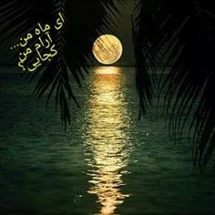 کسی دیگه سراغ امام زمان رو نمی گیره..