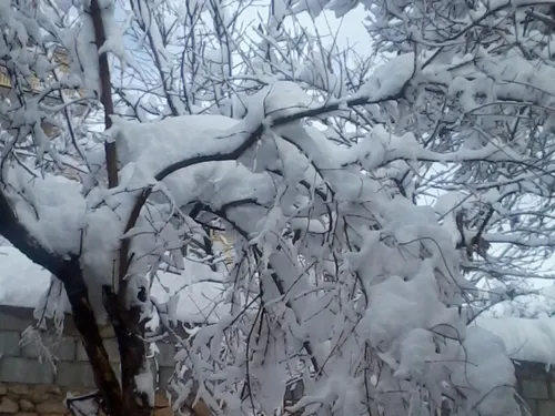 اولین برف زمستان92 در شیراز