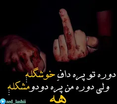 #ضدلاشی