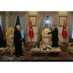 دیدار ظریف با رئیس جمهور ترکیه