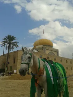 حسینیه انقلاب شهر جنت شهر در فارس