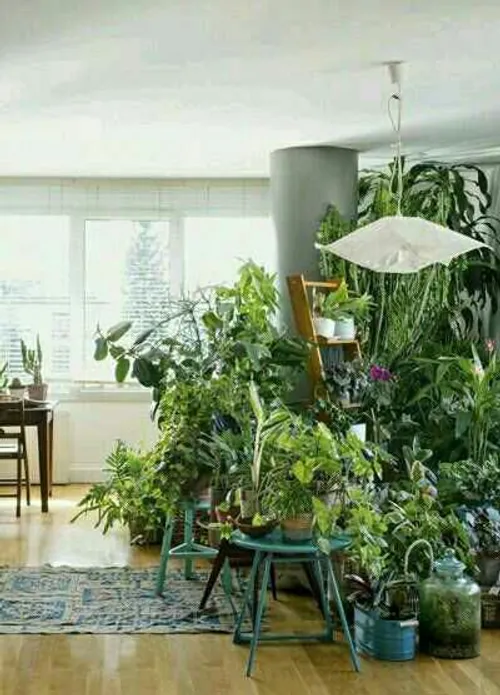 دکوراسیونی برای گیاهان آپارتمانی 🌱 دکوری فانتزی ایده خلاق