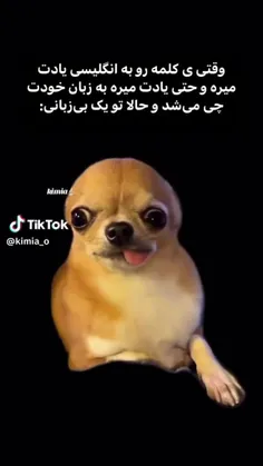 سلام بی زبون 👌🏻