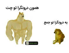 😂بدونه شرح
فالو کن فالو میشی