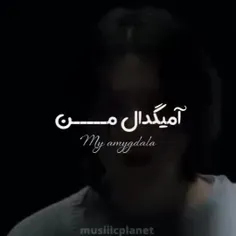 آمیگدال من...:)