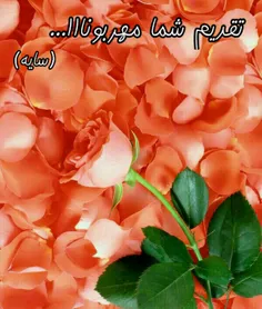 الهـ ـ ـ ـی تاجهان باشد به شادی درجهان باشید❥🌹 ❥