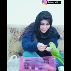 پدر یعتی گرپی یک خانه ❤️❤️