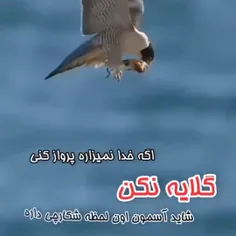 خدایا خودت بساز 😍😍🤲🤲