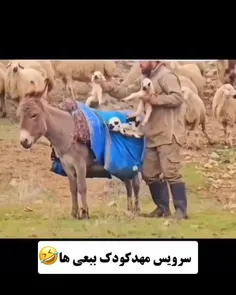 سرویس ببعی ها👏👏