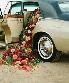 ماشین  عروس
