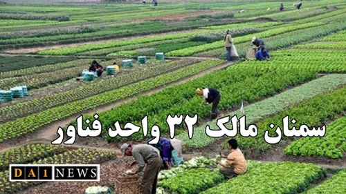 تعداد واحدهای فناور کشاورزی استان سمنان به ۳۲ واحد رسید