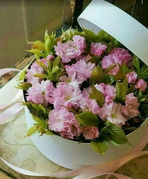 گاهی یک خلوتِ دنج و بی واسطه