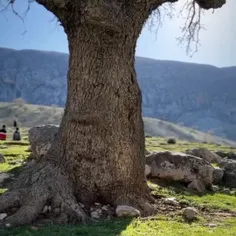 طبیعت زیبای استان ایلام