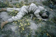 سرباز وطن میان گلها، یک روز مانده به عید نوروز ، 19مارس 1
