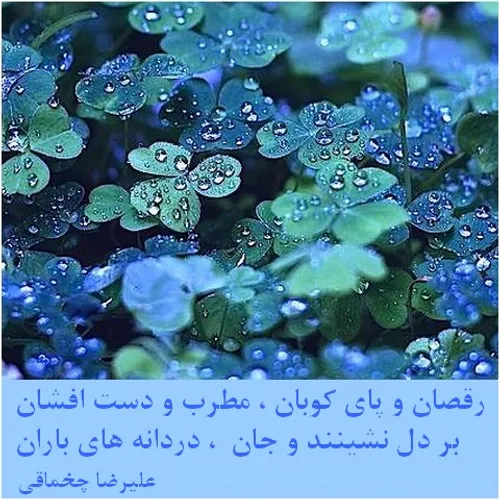 رقصان و پای کوبان ، مطرب و دست افشان