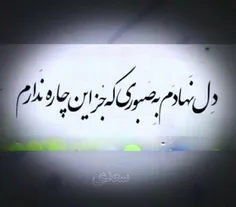 حال دنیا را بپرسیدم من از فرزانه‌اے