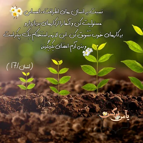 نکته تربیتی قرآنی