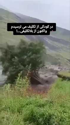 اگه صبر نکنی بی تابی از پا درت میاره 