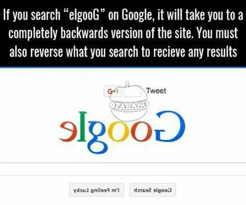 اگر شما elgoog را در گوگل جستجو کنید. به شما تصویر آینه ا