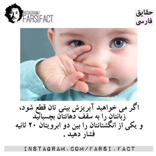 چه جااب