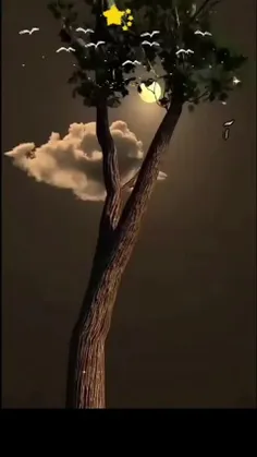 آرزو می کنم تو زندگیت