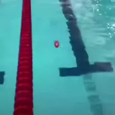 🫀= 🏊🏻‍♀️