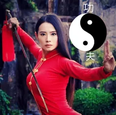 Janice hung kungfu 