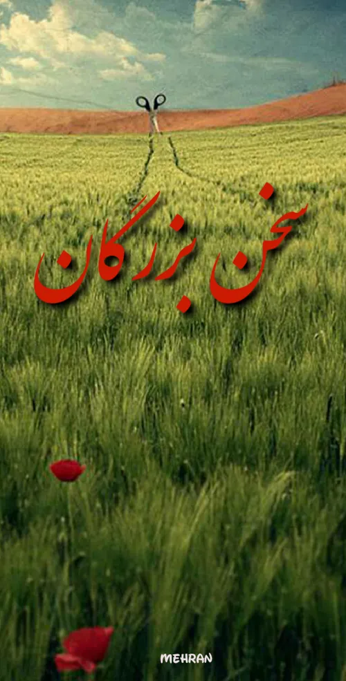 فهمیده ام که معمولی بودن شجاعت می خواهد.