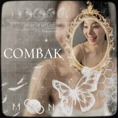 🥂🕊️~COMBAK~