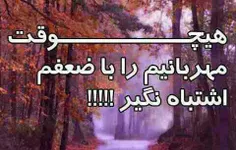 مهربانیم را با ضعفم، اشتباه نگیر!!!!