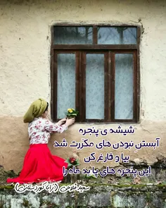 #سعید_فلاحی #سعید #فلاحی #زانا_کوردستانی #زانا #کوردستان 