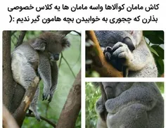 والا هی میگن چقد میخوابی😕 