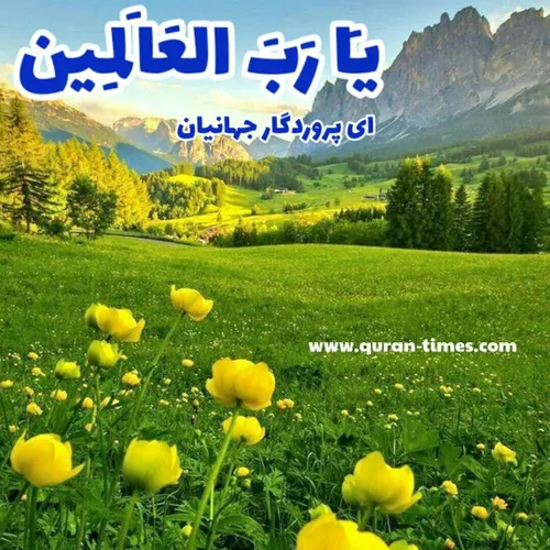 روز شنبه