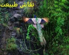 به این میگن آیت الله نه اون ...