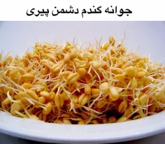 ♡ طب سنتی ایرانی اسلامی ♡: