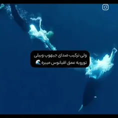 *بنده غرق شد *🌊🌊