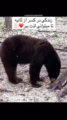 بسیار ناراحت کننده بود💔