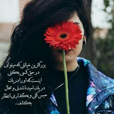 کسی که دوسِت داشته باشه