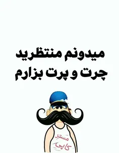 ولی من دیگه نه با کسی نه با پیجی شوخی نمیکنم بی ظرفیتا